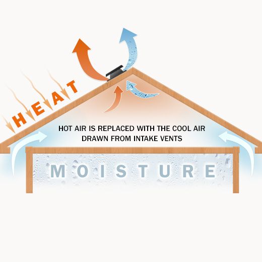 Candia Ceiling Fan Electricians