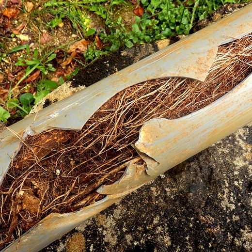 Same Day Drain Sewer & Rooter Pros Across Candia